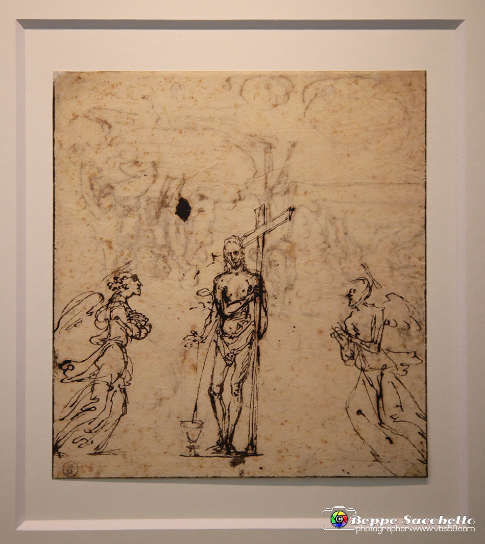 VBS_0042 - Mostra Nel segno di Raffaello.jpg